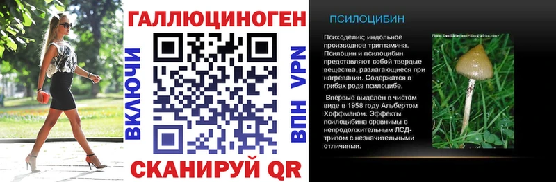 Псилоцибиновые грибы Psilocybe  Дальнегорск 