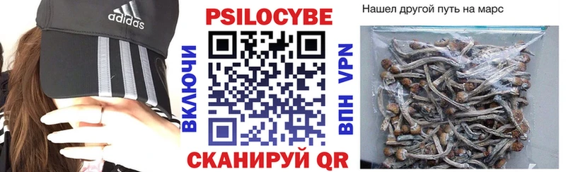 Псилоцибиновые грибы Psilocybe Дальнегорск