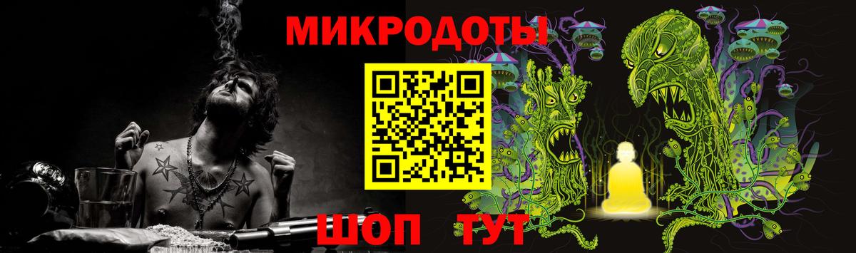 Галлюциногенные грибы Psilocybine cubensis Дальнегорск